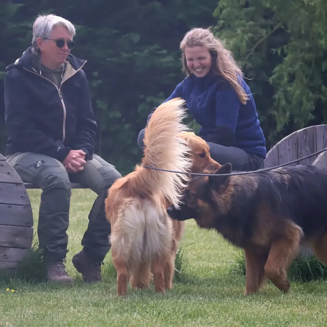 deux educatrices pour chien