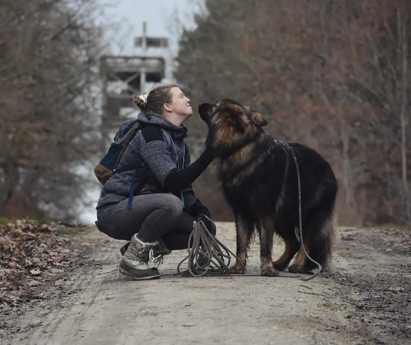 compliciter humain-chien