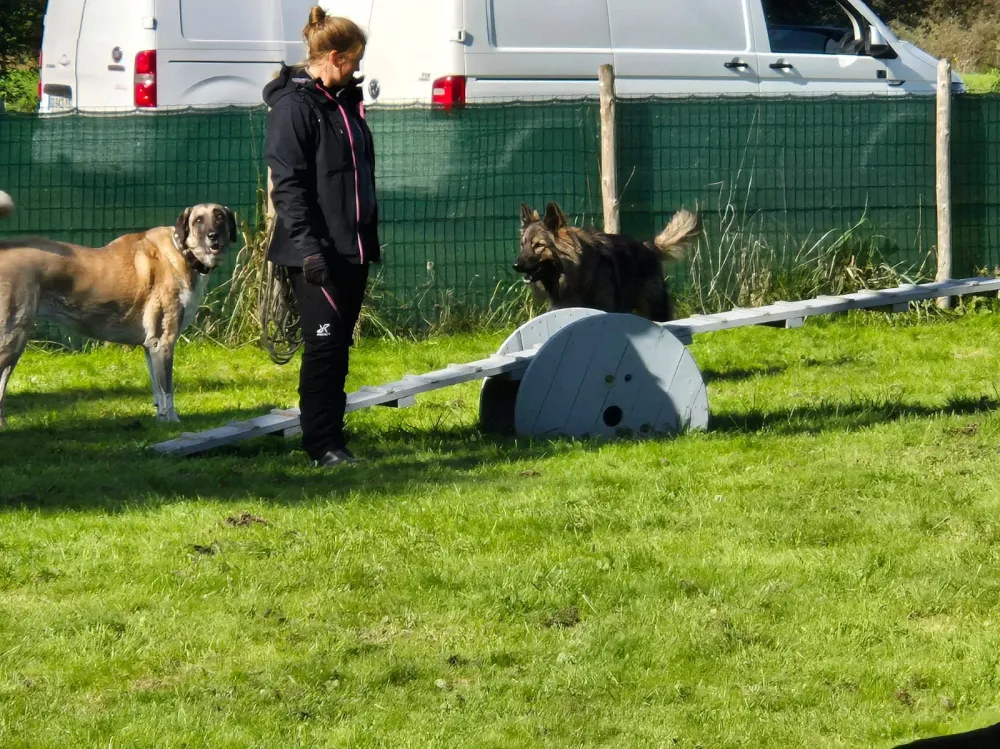 parcours canins avec chien
