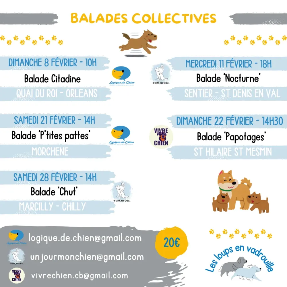 Activités collectives