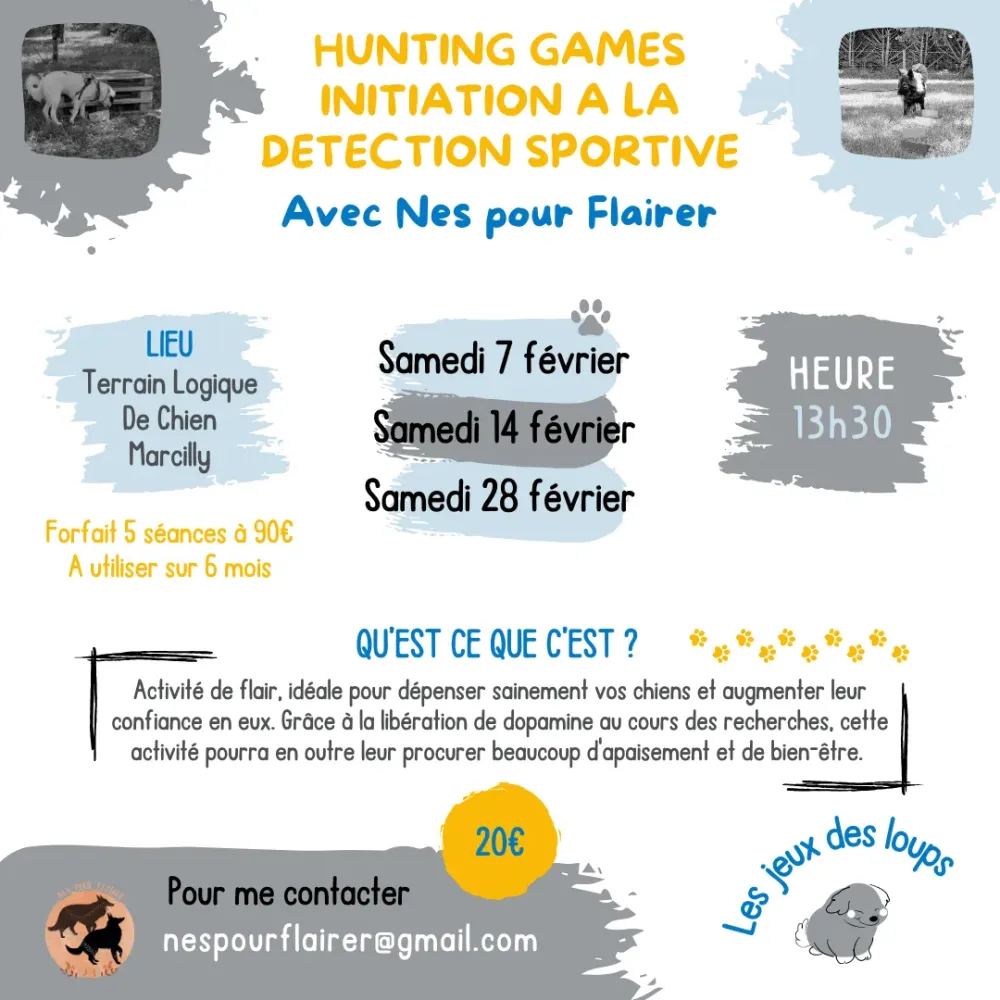 Activités de flairs