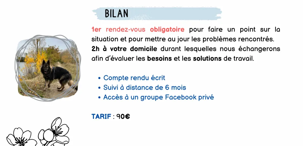 Bilan