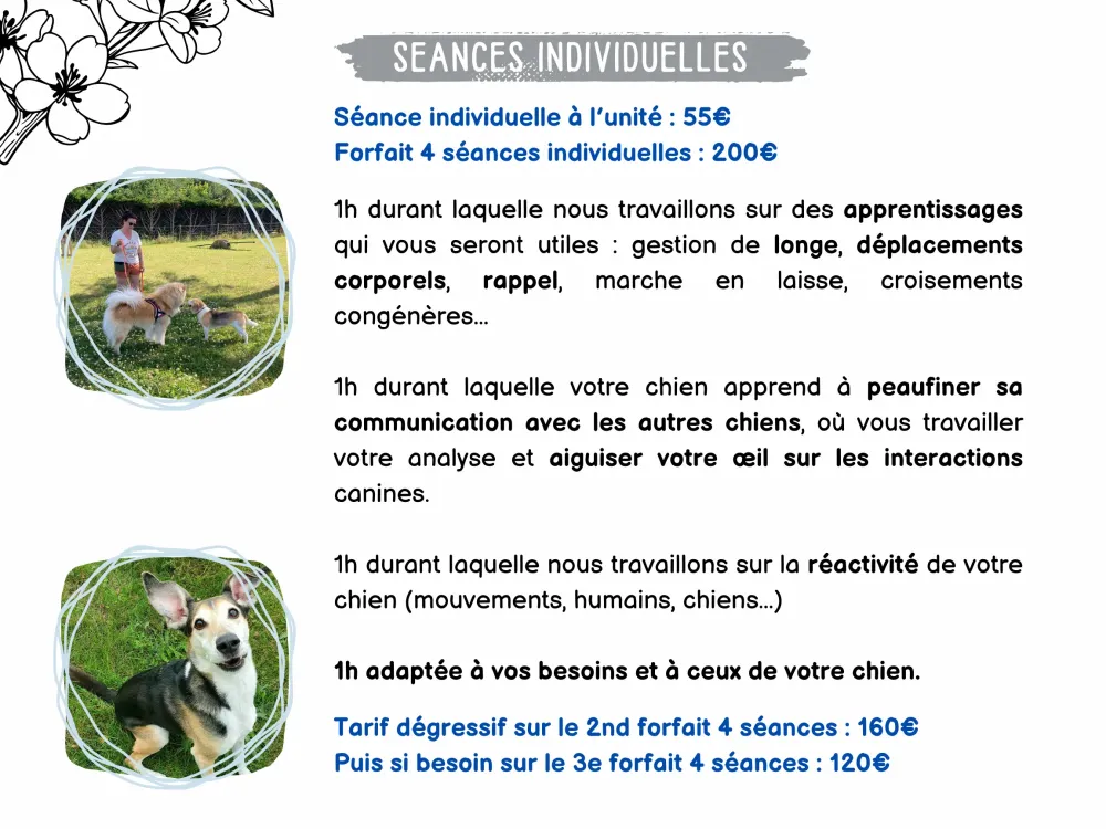 Séances individuelles